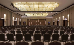 Radisson Blu Hotel & Conference Center